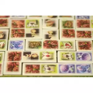 El Jard&iacute;n De Alicia - Imagen 1