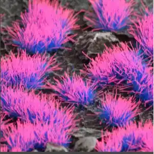 Alien Neon 4mm - Imagen 2